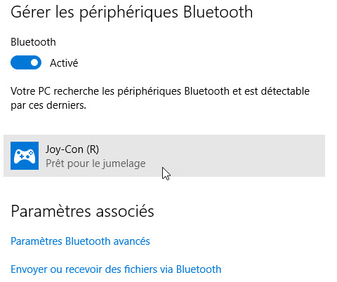 How to use Nintendo Switch Joy-Con on your PC? - Logitheque English
